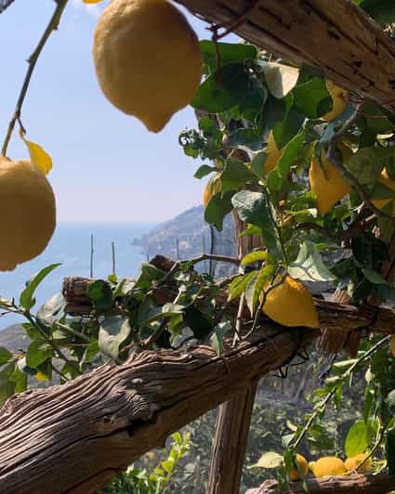 Billet SALERNO : Sentier de randonnée facile des citrons - Maiori et Minori
