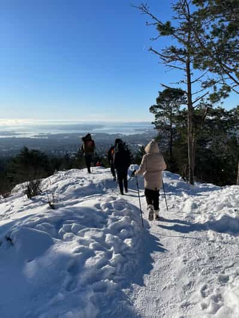 Billet Randonnée avec vue sur le fjord d'Oslo et atelier de gaufres norvégiennes