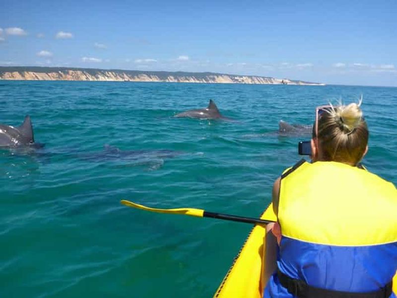 Billet Noosa : aventure en kayak avec dauphins et 4x4 sur la plage