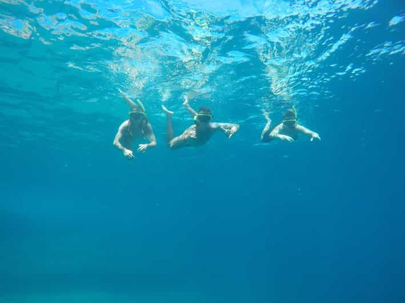 Billet Rio : sortie en bateau, snorkeling et nage avec les tortues