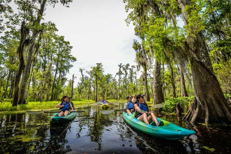 Billet Nouvelle-Orléans : Manchac Magic Kayak Swamp Tour