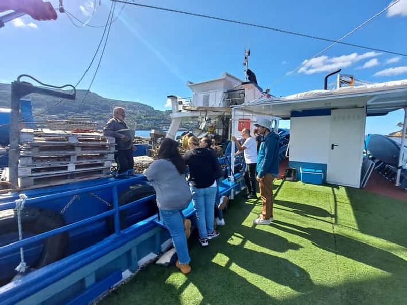 Billet Découverte de la ria et des moules de Vigo en bateau traditionnel