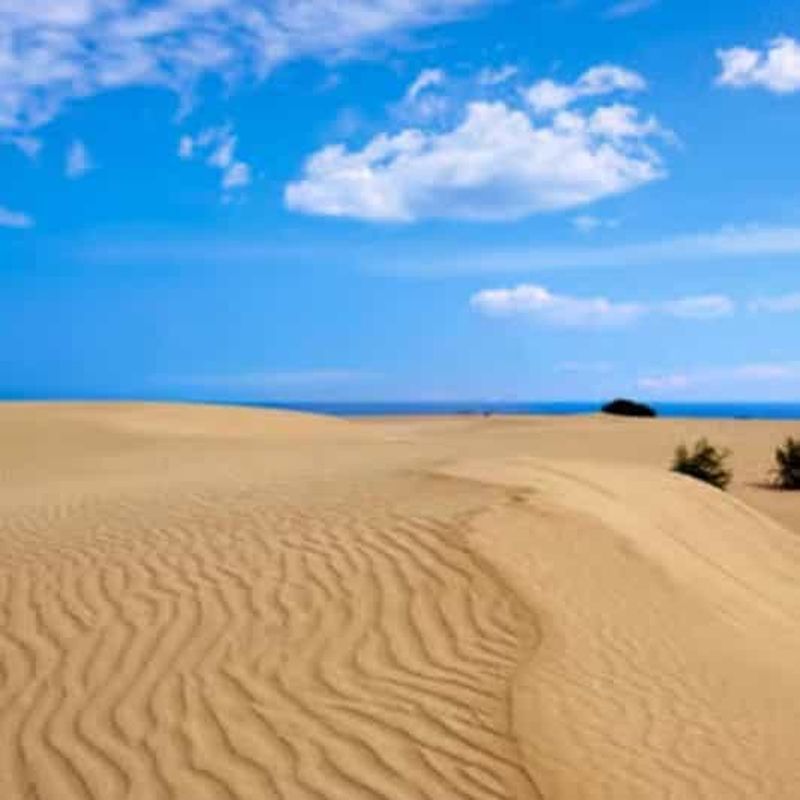 Billet Nord de Fuerteventura : visite d'El Cotillo, vin et dunes