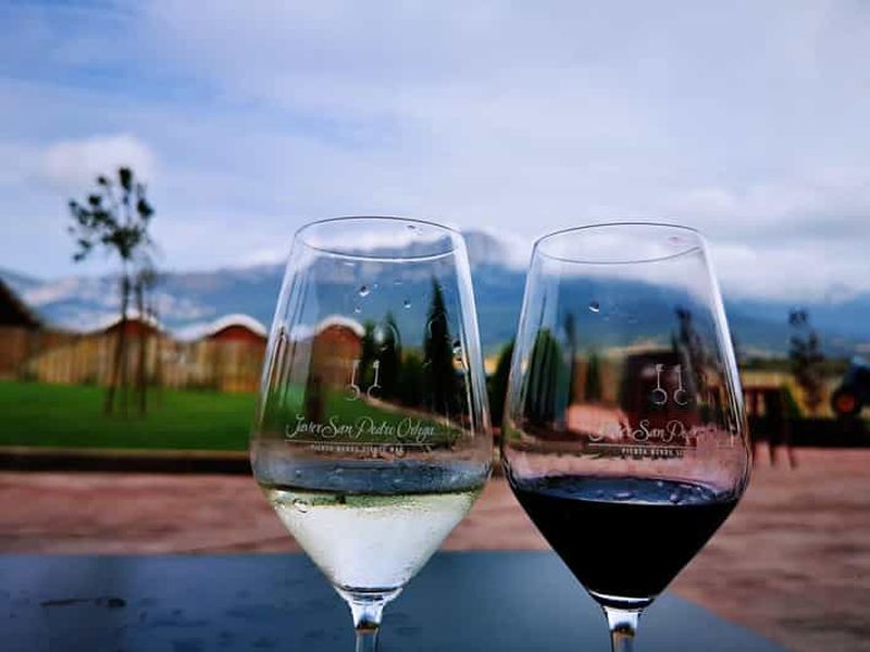 Billet Rioja : visite du vignoble avec un expert local et dégustations