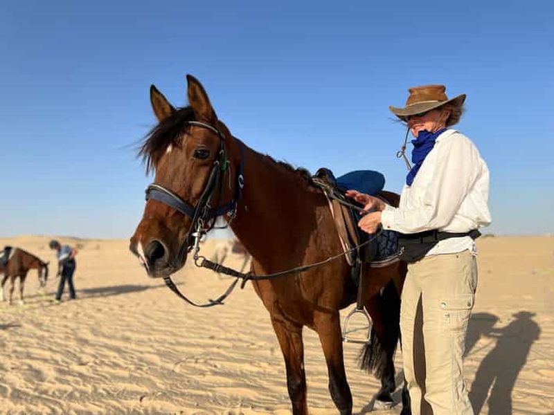 Billet Découvrez l'authenticité de Tozeur à cheval avec transfert privé