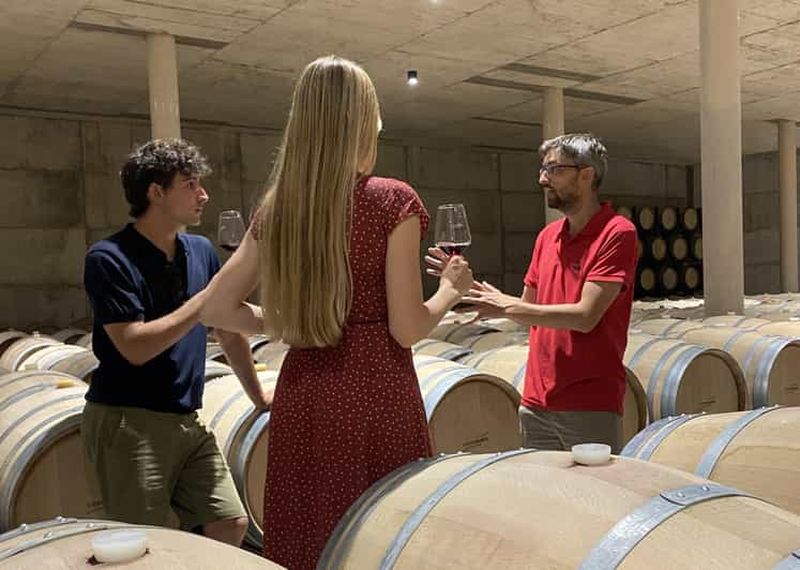 Billet Visite œnologique en petit groupe de Valence aux vignobles de Requena