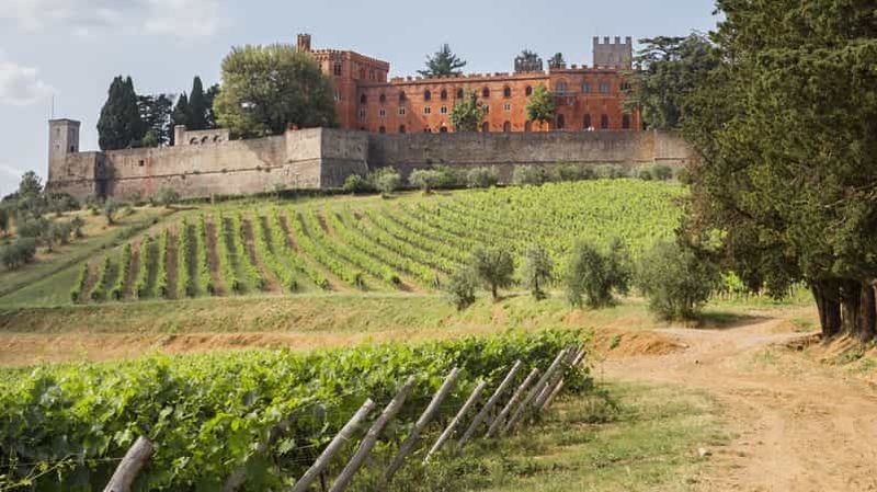 Billet Depuis Sienne : visite des vignobles du Chianti avec déjeuner