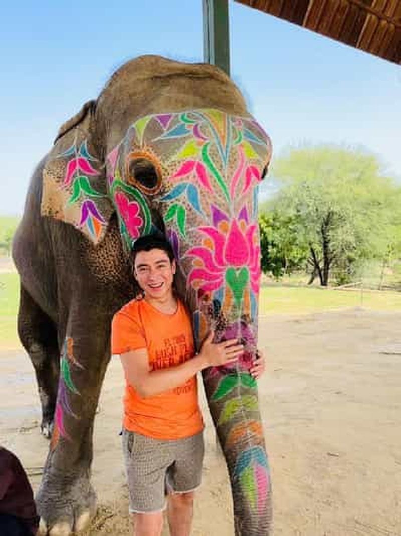 Billet Jaipur : expérience avec les éléphants (nourriture, peinture et balade), prise en charge incluse