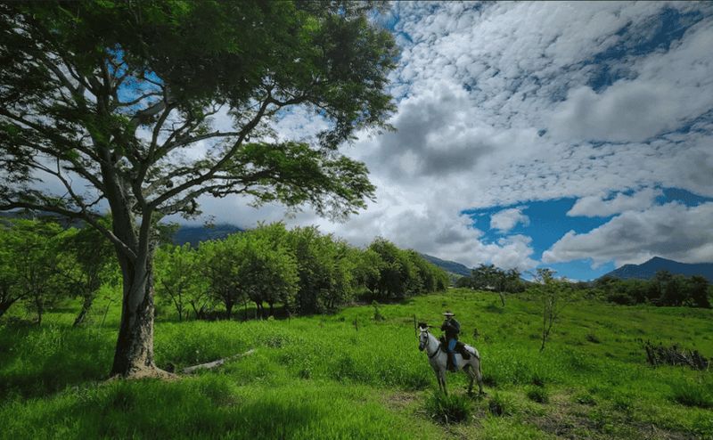 Billet Medellín : escapade en quad, montagne, rivière et vallée