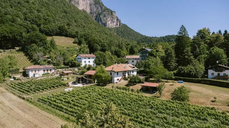 Billet Mezzocorona : visite du vignoble sur le mont et dégustation de 3 vins