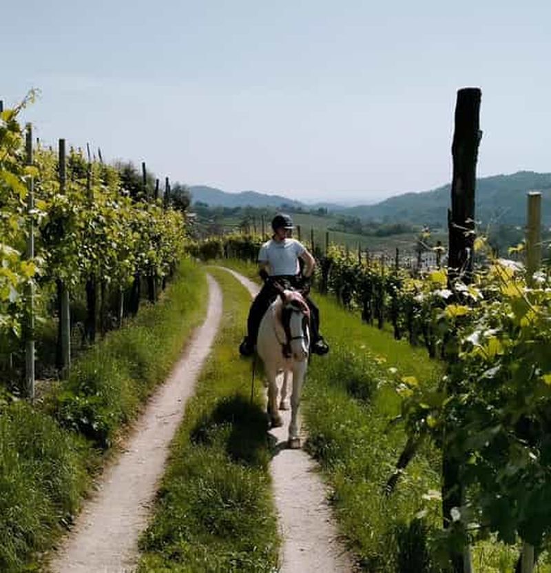 Billet Valdobbiadene : excursion à cheval dans les collines du Prosecco