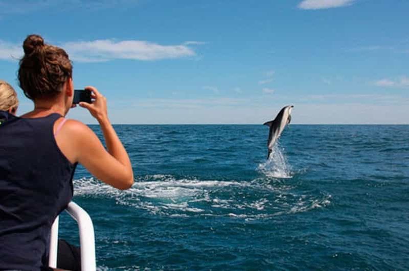 Billet Pula : Visite du parc national de Brijuni et croisière pour les dauphins