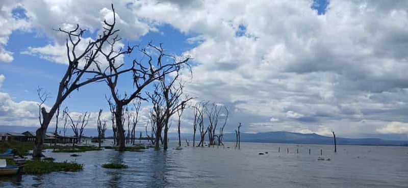 Billet Depuis Nairobi : excursion au Parc national Hell’s Gate et au lac Naivasha avec sortie en bateau