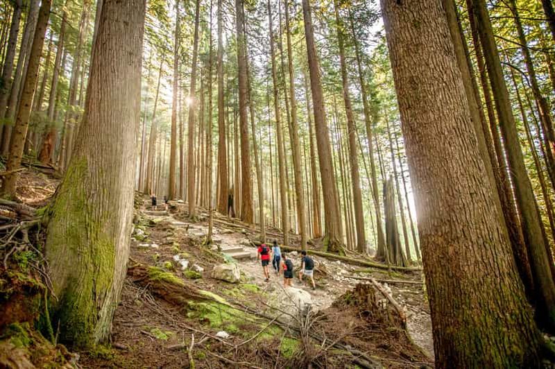 Billet Vancouver : Randonnées guidées à Grouse et Lynn Canyon