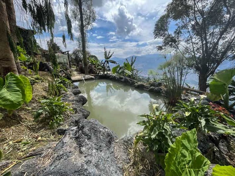 Billet Observation d'oiseaux à Medellin Cabane forestière Arví