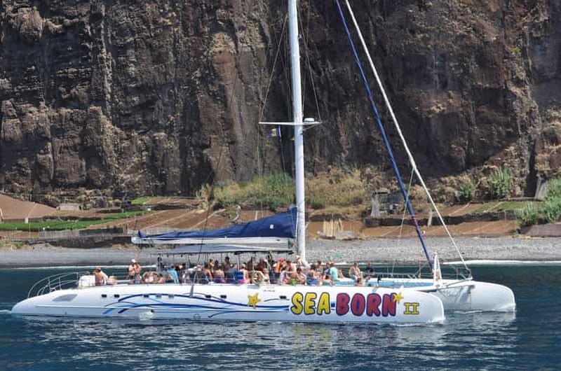 Billet Funchal : Croisière d'observation des baleines et des dauphins en catamaran
