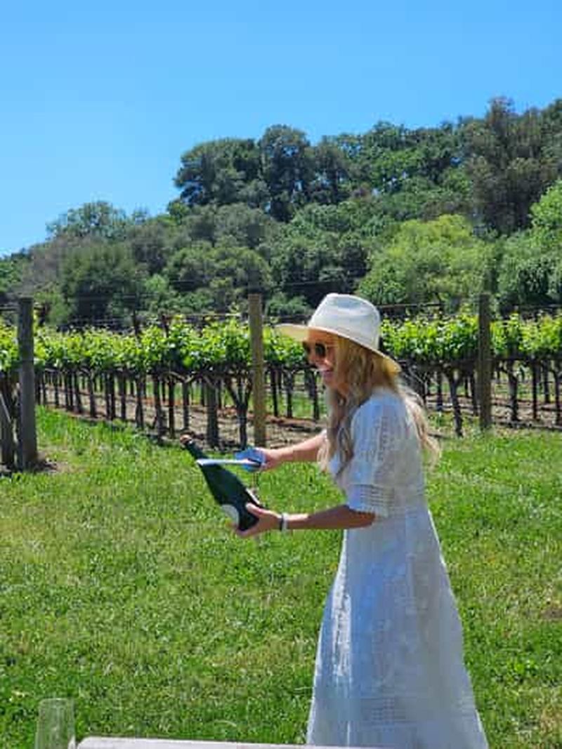 Billet USA/Californie/Napa : Visite privée du vignoble pour un maximum de 6 personnes