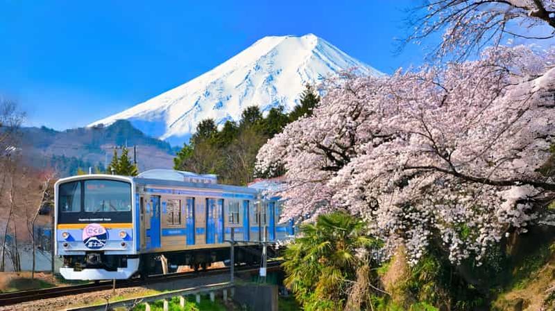 Billet Tokyo : Mont Fuji, lac Kawaguchi, croisière et train Fujikyu