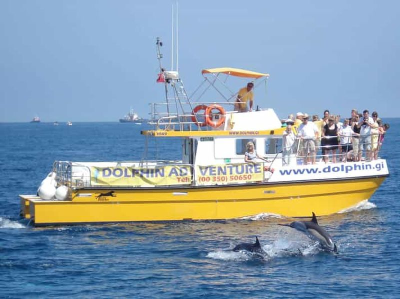 Billet Gibraltar : excursion d'observation des dauphins