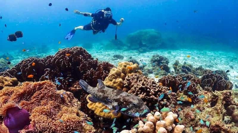 Billet Phuket : expérience de plongée sous marine et snorkeling à Racha Yai