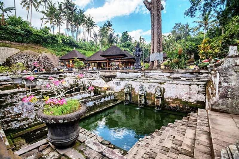 Billet Bali : Ubud, forêt de singes, temple ancien, chutes d'eau