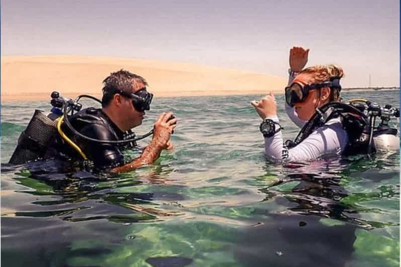 Billet Plongée sous-marine avec guide au Qatar : découverte du récif et rafraîchissements