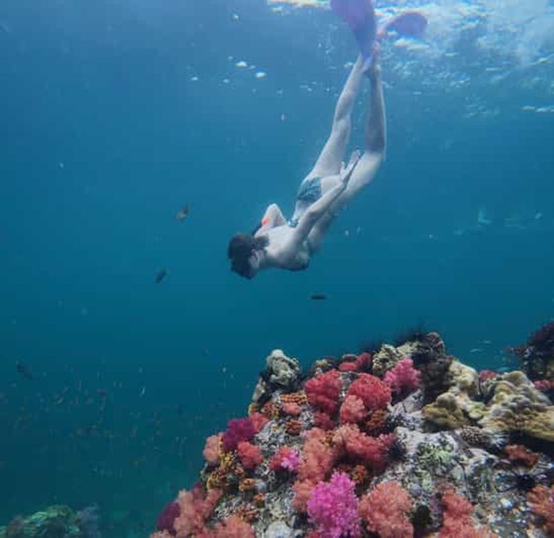 Billet Koh Lipe : demi-journée de snorkeling (matin/après-midi/coucher du soleil)