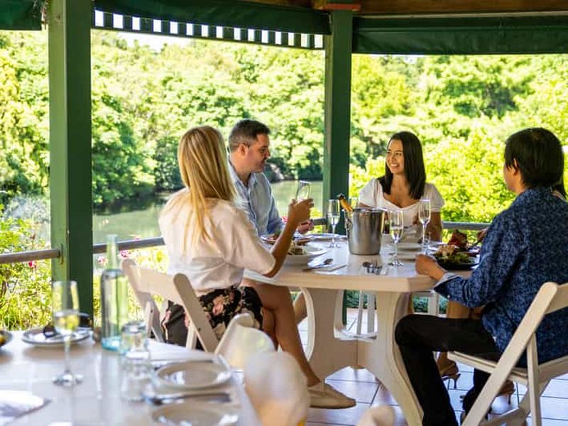Billet Brisbane : visite des vignobles locaux de Tamborine Mountain avec déjeuner