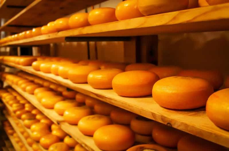 Billet Rotterdam et Gouda : visite guidée et dégustation de fromages