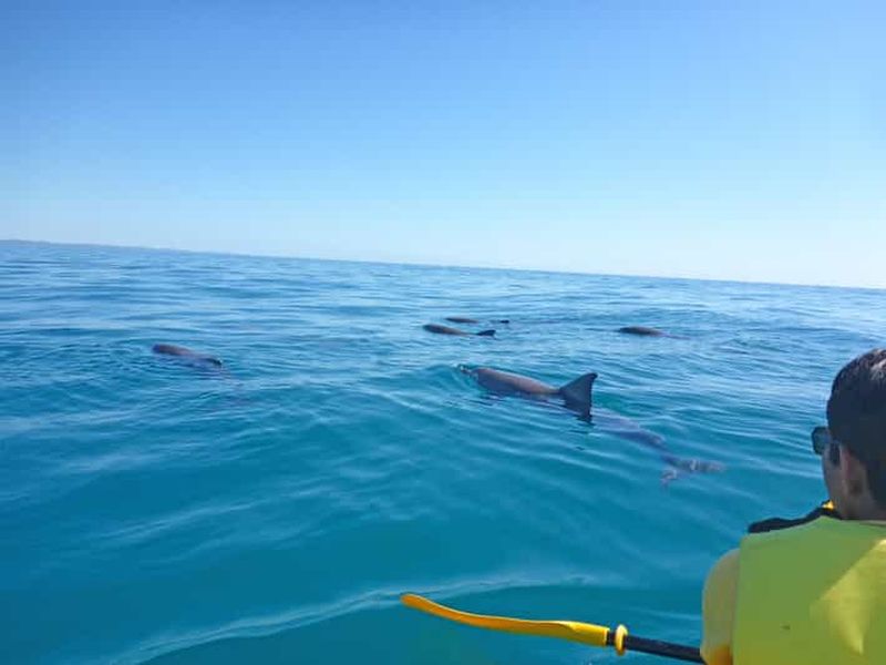 Billet Excursion en kayak à la rencontre des dauphins et visite du parc national en 4X4 sur la plage (privée)