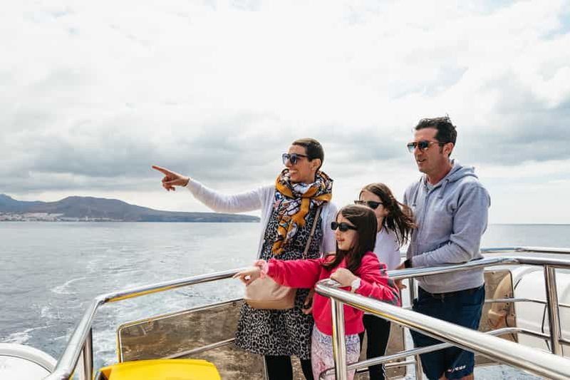 Billet Ténérife : observation et baignade avec les baleines et les dauphins en éco-yacht