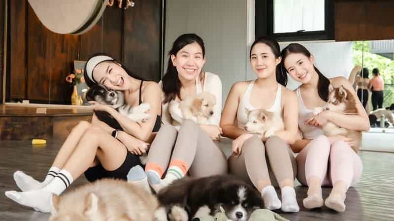 Billet Bangkok : Thérapie par le yoga avec des chiots et la guérison par le son