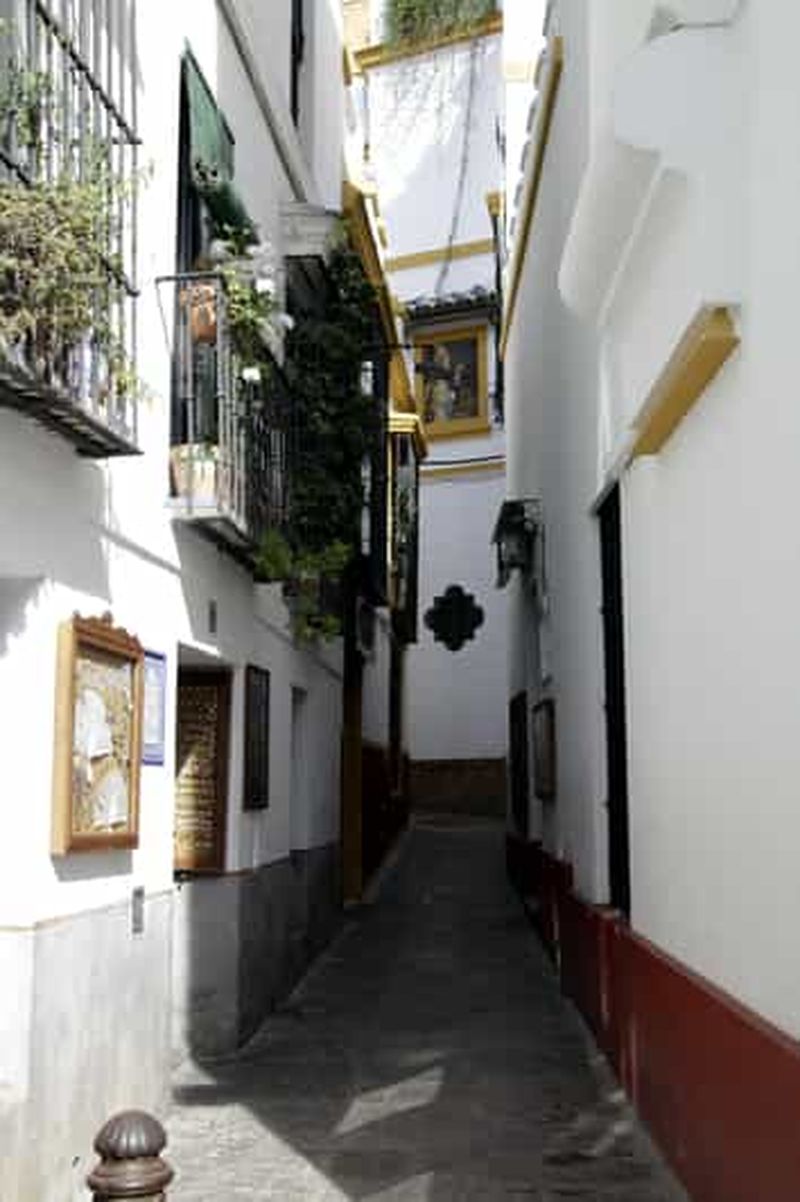 Billet Séville : visite guidée de Santa Cruz, de la cathédrale et de la Giralda