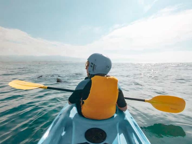 Billet Great Ocean Road : excursion en kayak avec les phoques