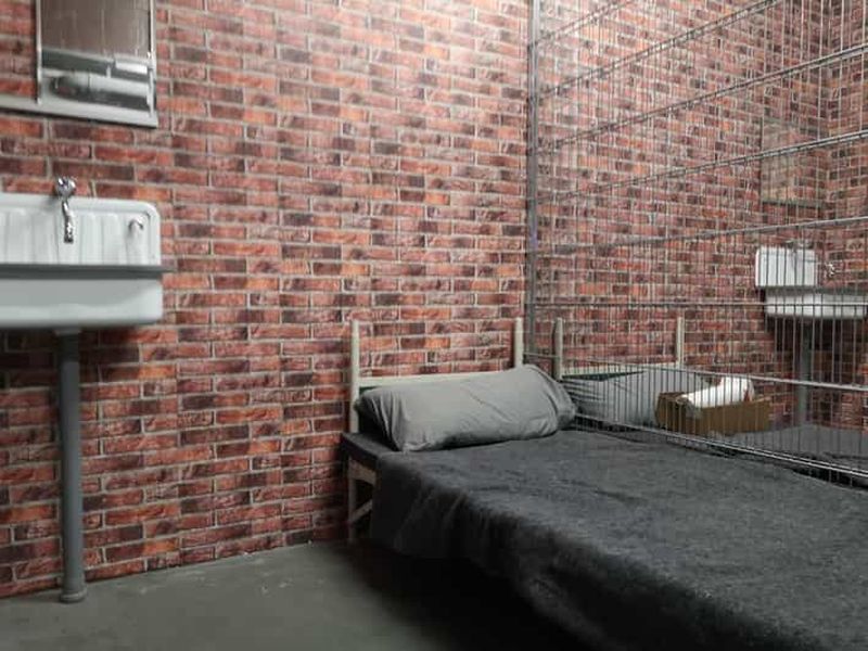 Billet Berlin Neukölln : Escape Game en direct