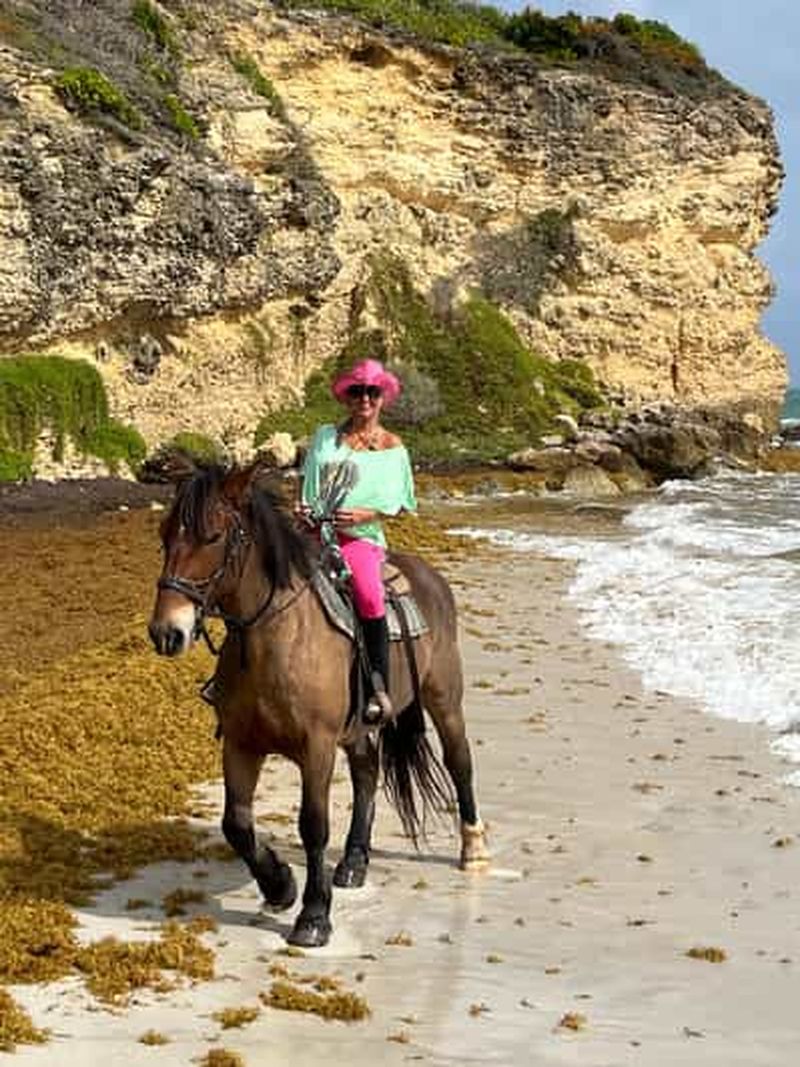 Billet Vauclin - Excursion à cheval sur la plage avec crêpes caribéennes pour le déjeuner