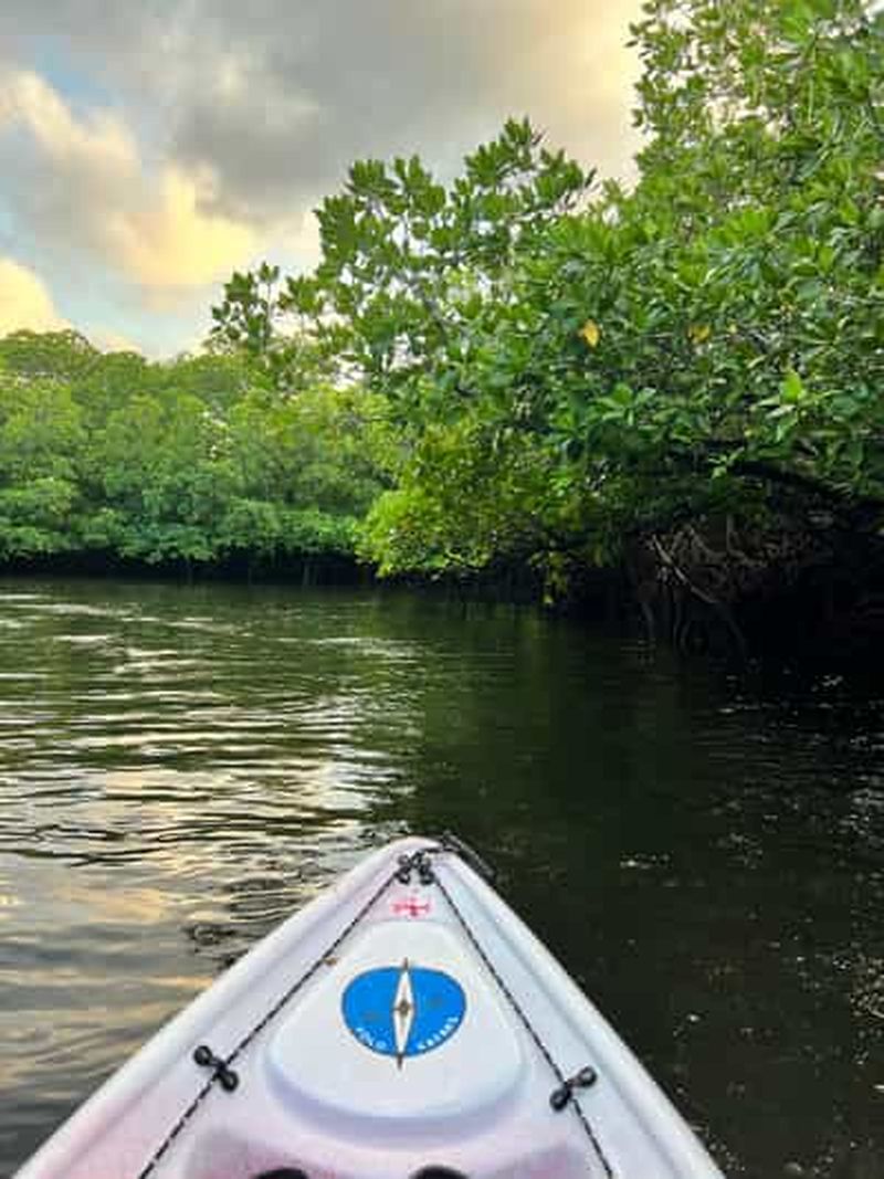 Billet Havelock : excursion bioluminescence et kayak dans la mangrove