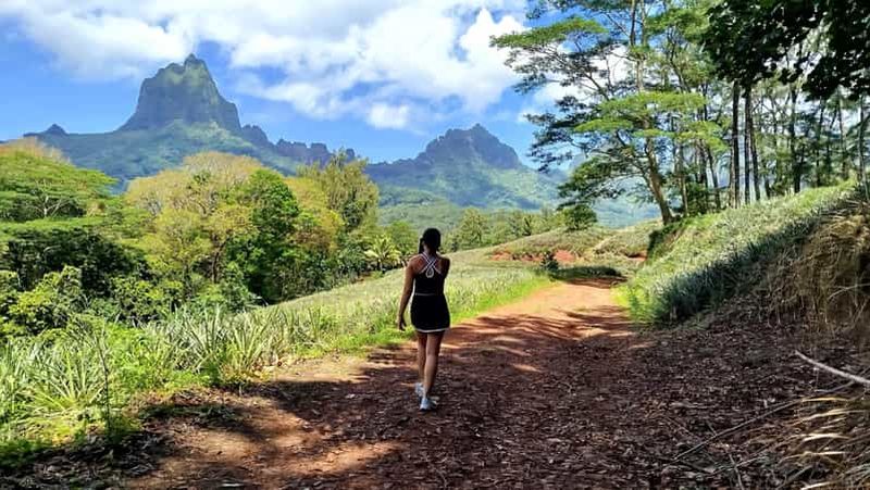 Billet Moorea : demi-journée privée randonnée Montagne Magique & Dégustation VIP