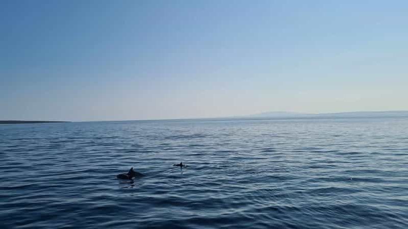 Billet Rab : Zavratnica, Goli Otok et Sveti Grgur Tour en bateau