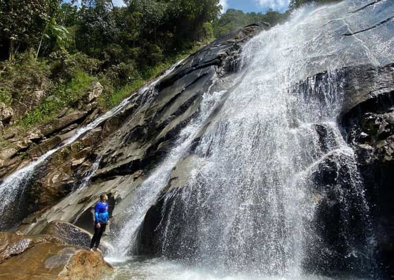 Billet Évadez-vous de Medellín : randonnée vers une magnifique cascade géante à Cisneros.