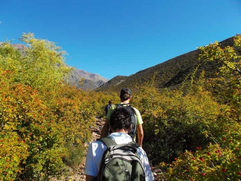 Billet Mendoza : 4 heures de trekking en montagne avec déjeuner