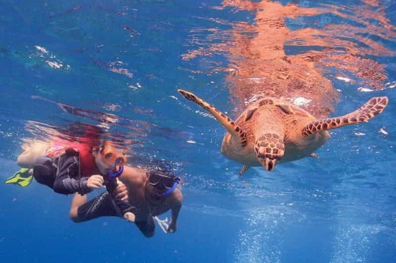 Billet Cancun : Plongée en apnée au musée sous-marin et au récif de Manchones