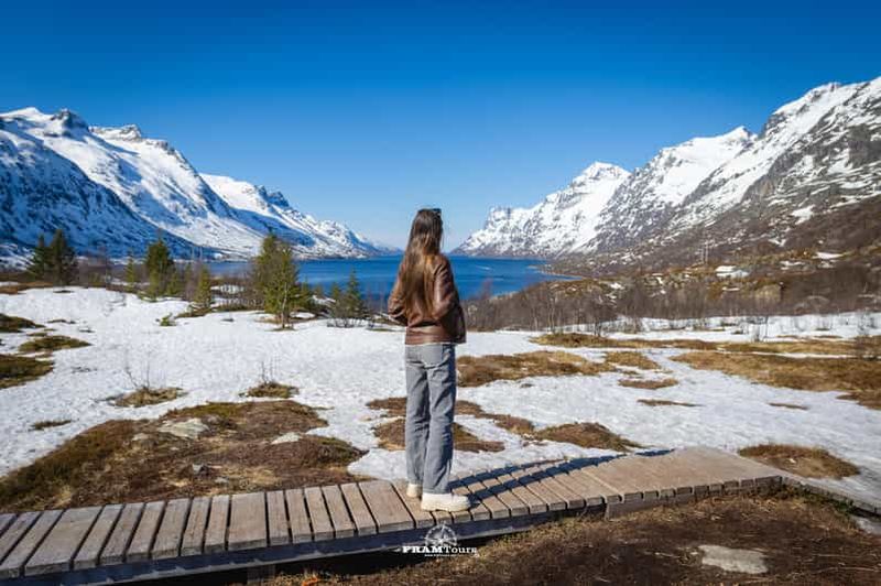 Billet Tromsø : Excursion dans les Fjords Arctiques jusqu'à Kvaløya avec Déjeuner Panoramique