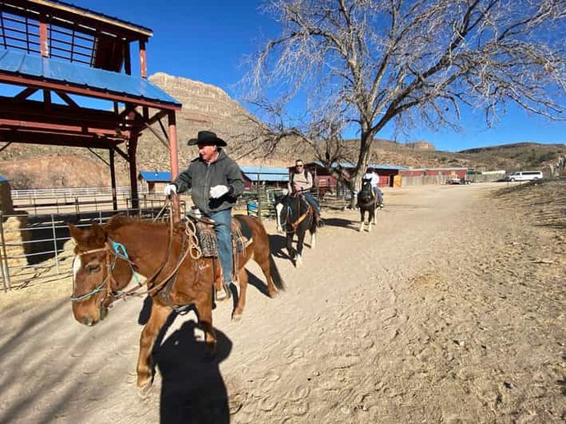 Billet Randonnée à cheval dans la forêt de Joshua Tree avec buffle et déjeuner