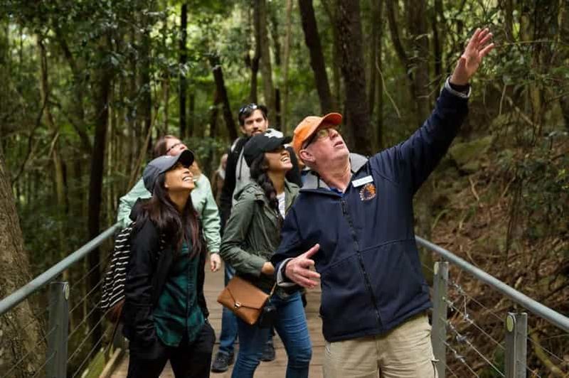 Billet Montagnes Bleues, Scenic World, faune et cascade (petit groupe)