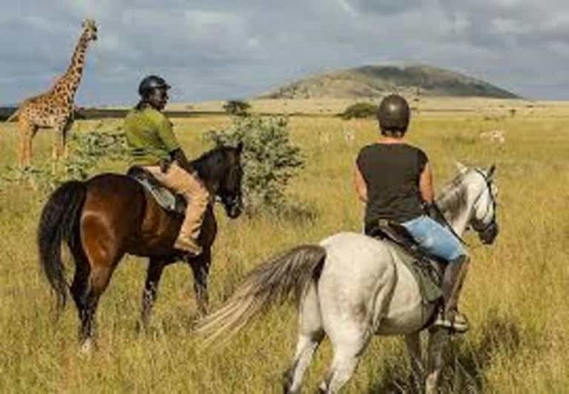 Billet Makueni : visite panoramique des collines de Chyulu et balade à cheval