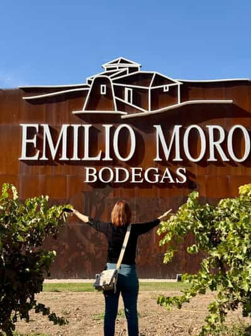 Billet De Madrid à Ribera del Duero : vignobles et villes cachées