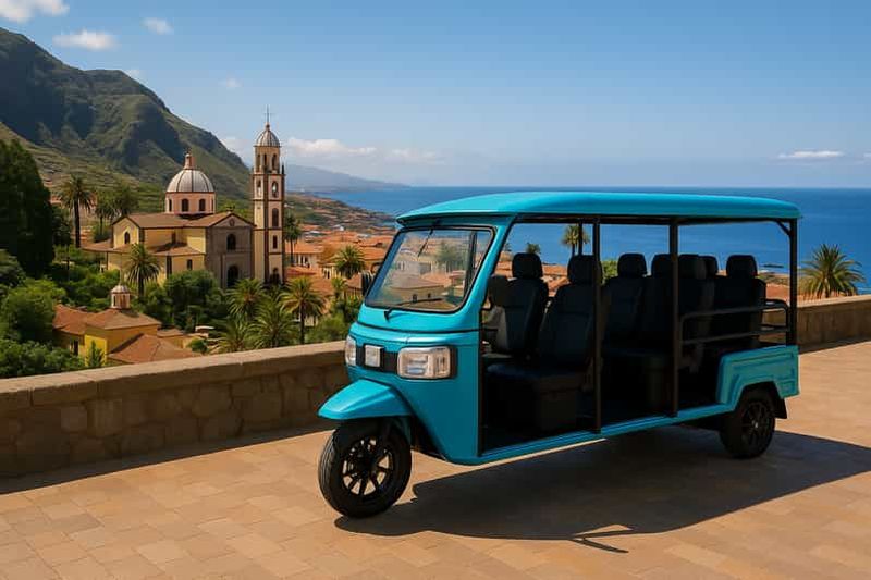 Billet Costa Adeje : Visite en Tuk-Tuk du sud de Tenerife