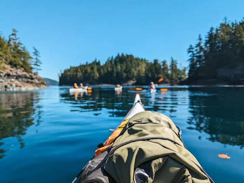 Billet Telegraph Cove : Excursion d'une demi-journée en kayak