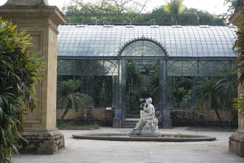 Billet Palerme : Visite guidée du jardin botanique